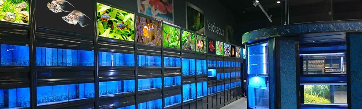 Illuminated pet enclosures for Casco Pet